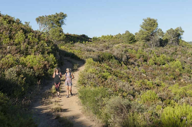 8 / Mailhac : les Roumanisses viariante longue