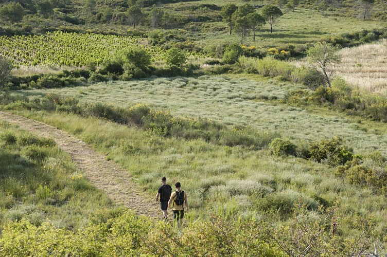 9 / Mailhac : 6000 ans d'Histoire dans les pas d'Odette et Jean Tafanel court