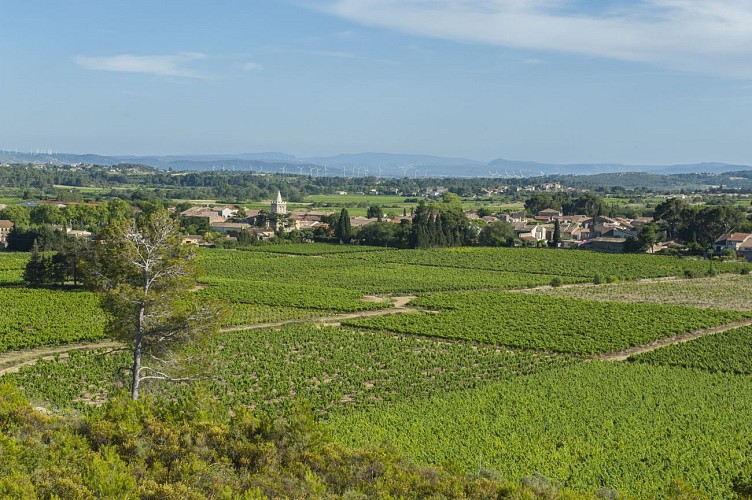 9 / Mailhac : 6000 ans d'Histoire dans les pas d'Odette et Jean Tafanel court