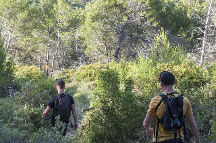 10 / Mailhac : 6000 ans d'Histoire dans les pas d'Odette et Jean Tafanel long