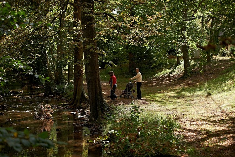 Rundgang Ottrott-Obernai über den Ehn-Pfad