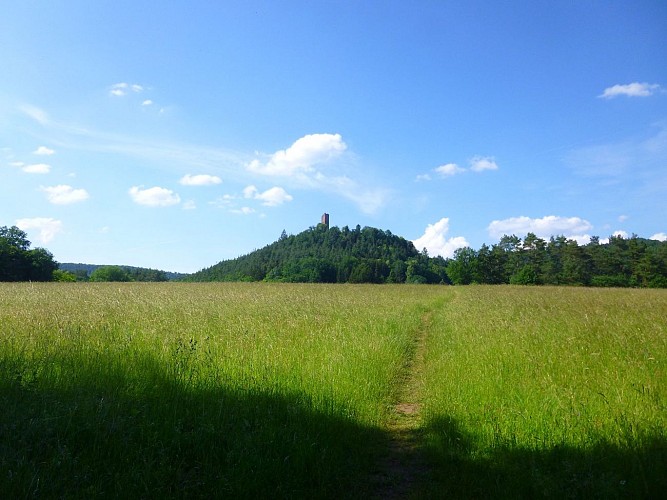 Suivre le sentier creusé dans la prairie jusqu'à atteindre le hameau de Waldeck, dont le château se dresse sur la colline