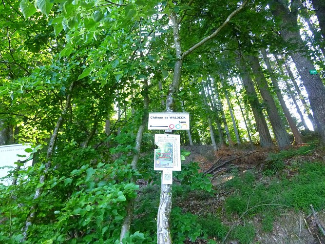 Vers le Château de Waldeck