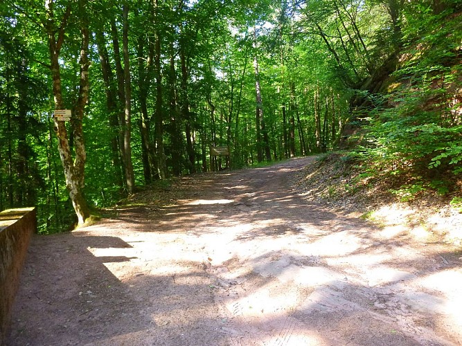 Le début du chemin circulaire de l'Erbsenfels