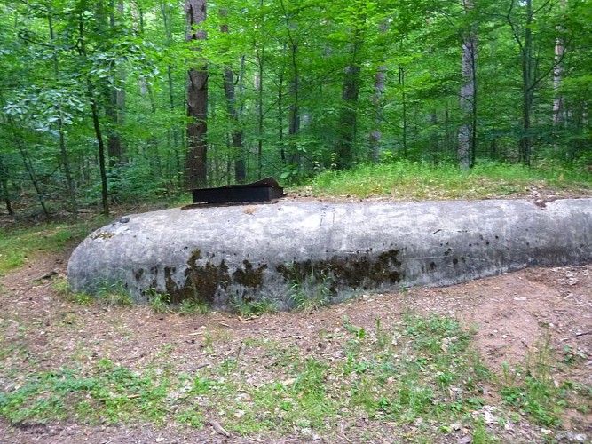 Avant de s'engager sur le chemin Waldecker Hubel, un blockhaus, à droite, en grande partie enterré