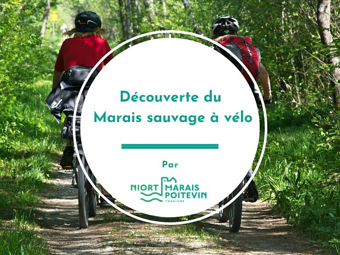 Découverte du Marais sauvage à vélo 