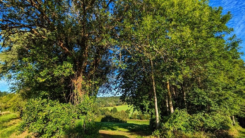 La carrière de la gaité