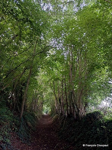 La carrière de la gaité