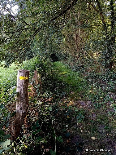 La carrière de la gaité