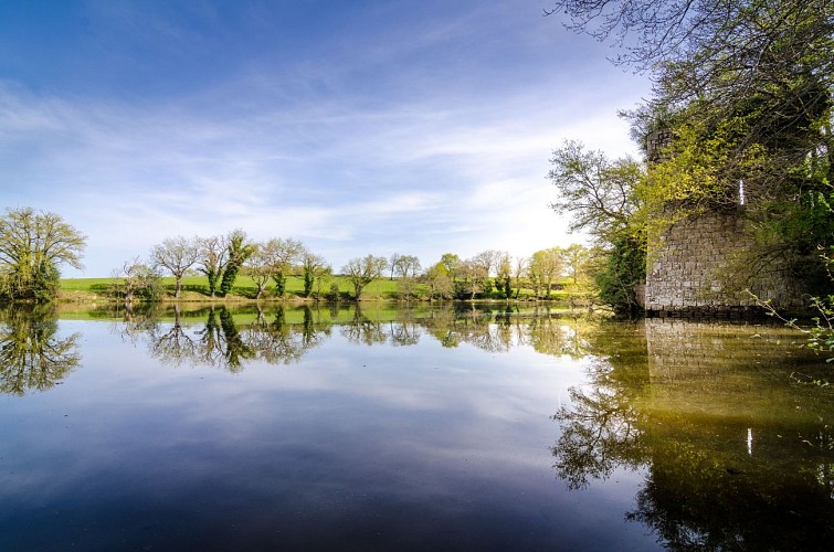 Étang de Bois Pouvreau