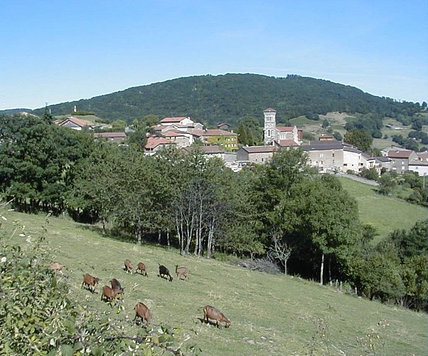 Le village de Cenves