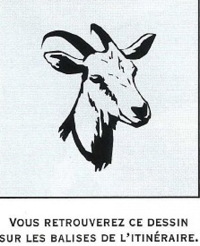 Balisage du Circuit de Cenves