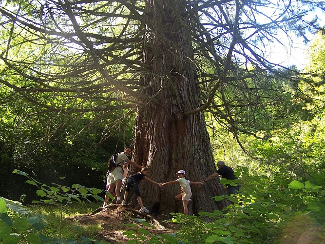 Arboretum de l'Hort de Dieu