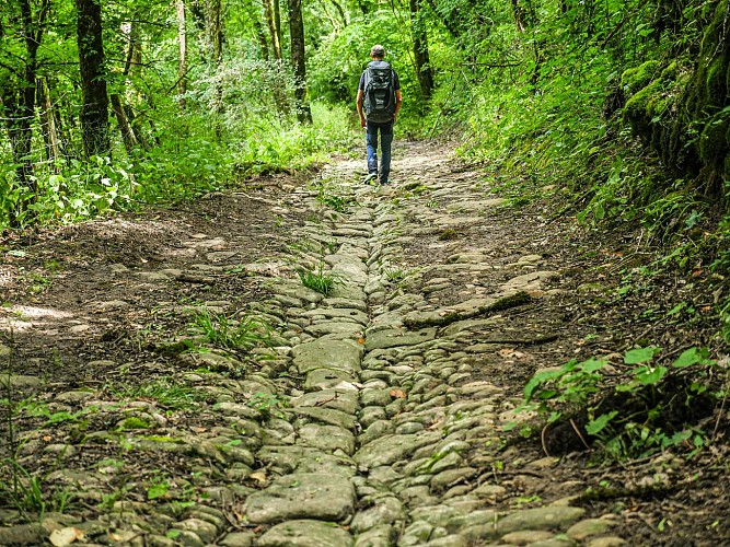 Corrèze Tourisme_GR46_Ancienne calade sous Turenne_© David Genestal_juin 2024