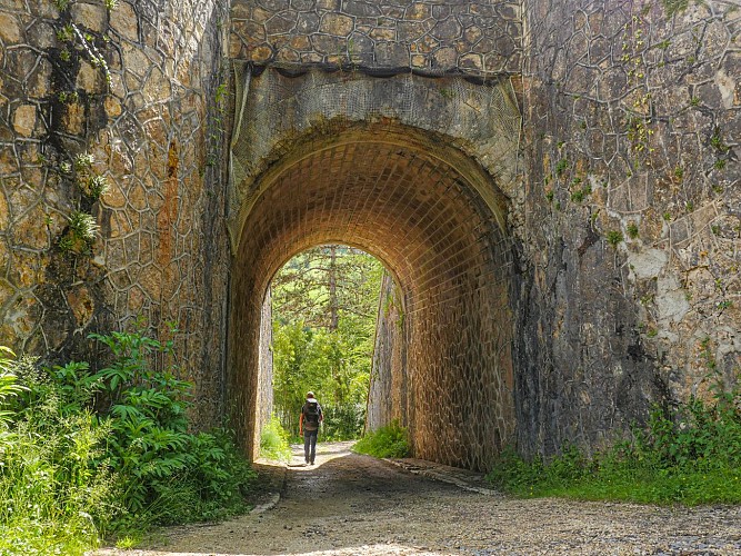 Corrèze Tourisme_GR46_Passage sous la voie ferrée entre Jugeals et Turenne_© David Genestal_juin 2024