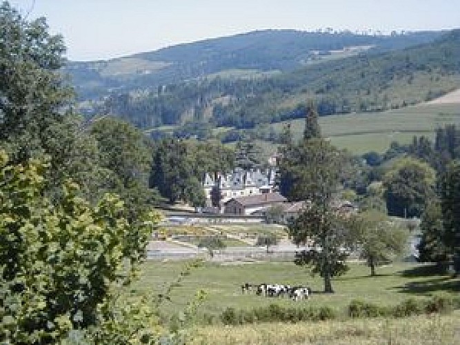 Chateau de la Carelle