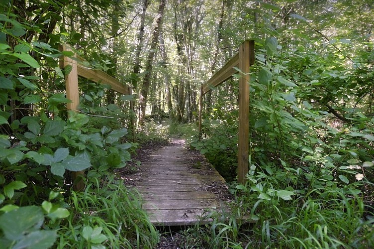 Pont-St-Martial-CD24-Denis-Nidos(1)