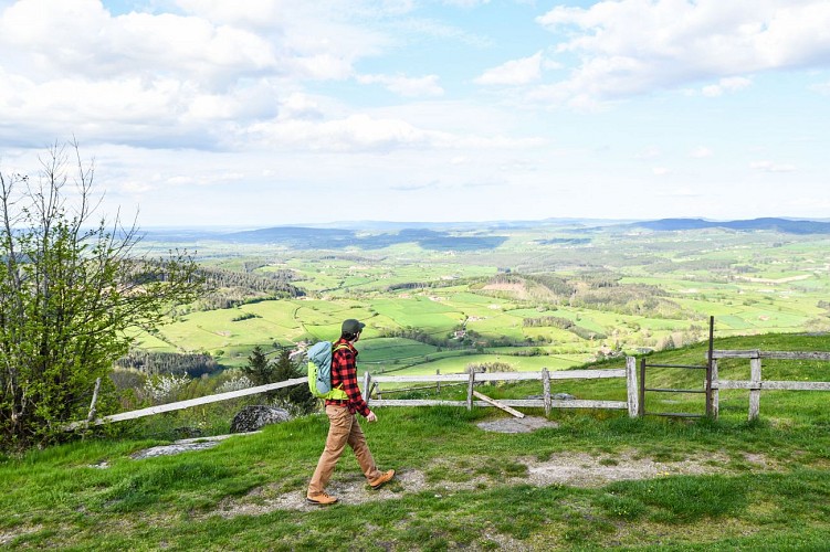 Suin ©DSL 71 - Xavier_and_Caroline (3)