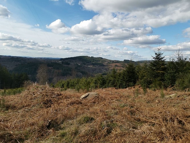 puy-de-buze