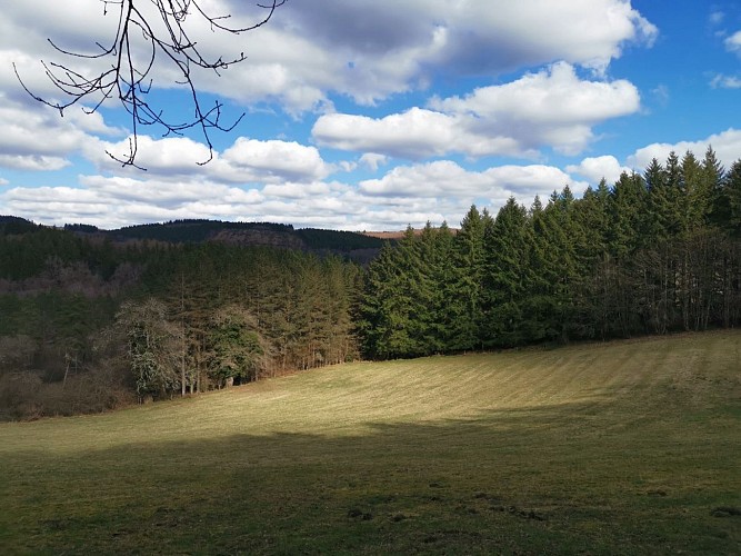 paysage-creusois