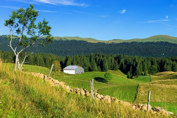 La Simard dans les Hautes-Combes