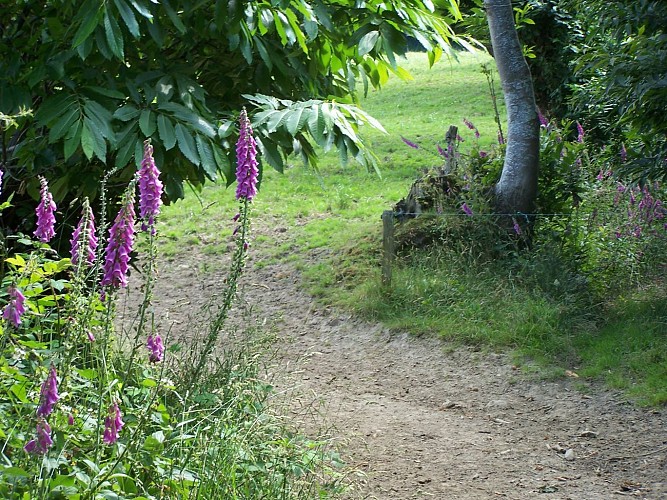 ©CdC Pays de Dol BMSM Vieux Viel - Circuit panoramique
