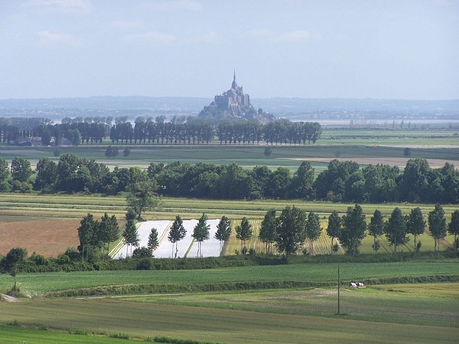 ©CdC Pays de Dol BMSM - vue du jardin panoramique