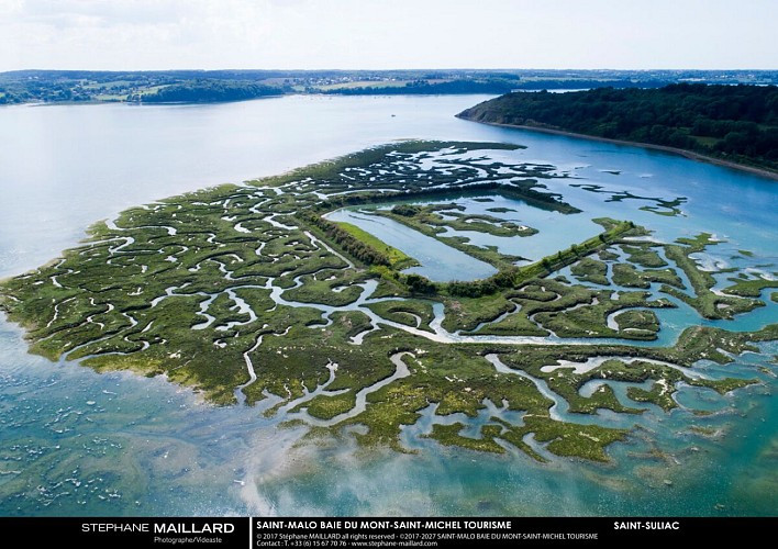 Vestiges Camp Viking Saint-Suliac