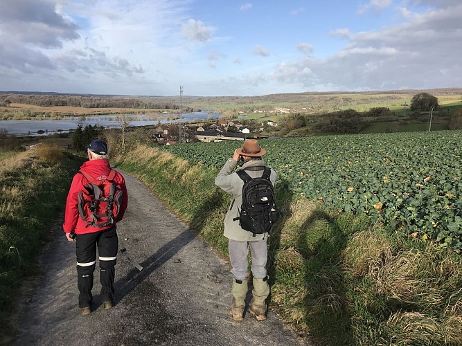 Vallée de la Meuse