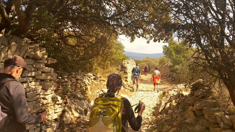 Trails of the Maquis de Gordes through La Sénancole