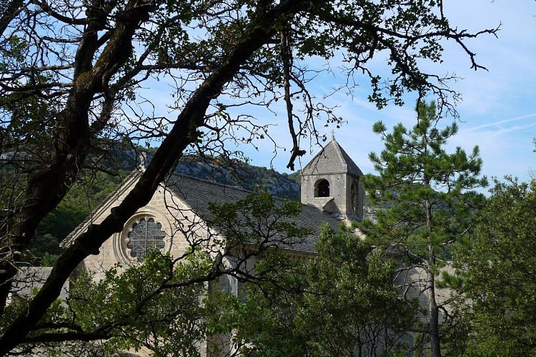 Trails of the Maquis de Gordes through La Sénancole