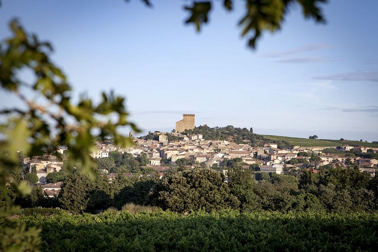 R02 - Châteauneuf du Pape-Kulturerbe