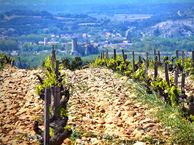 R02  - Châteauneuf du Pape - Heritage
