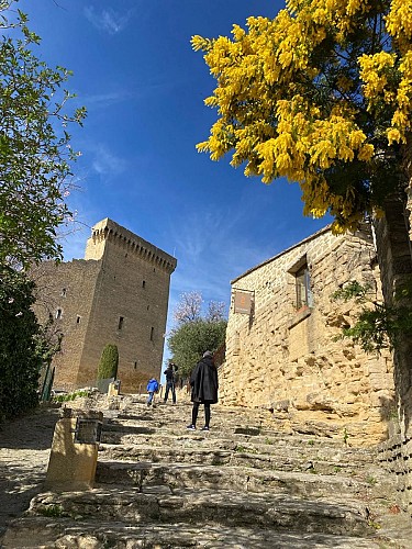 R02 - Châteauneuf du Pape - Patrimonio