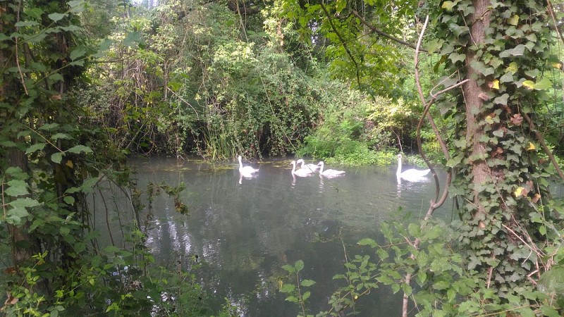 Sentier sur l'Islon Saint Luc