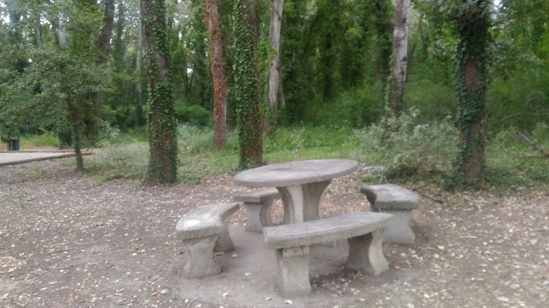 Sentier sur l'Islon Saint Luc