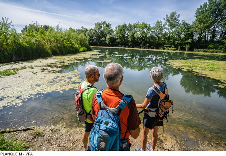 Sentier sur l'Islon Saint Luc