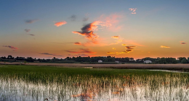 L'Etang Salé de Courthézon