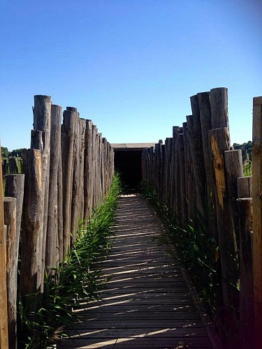 L'Etang Salé de Courthézon