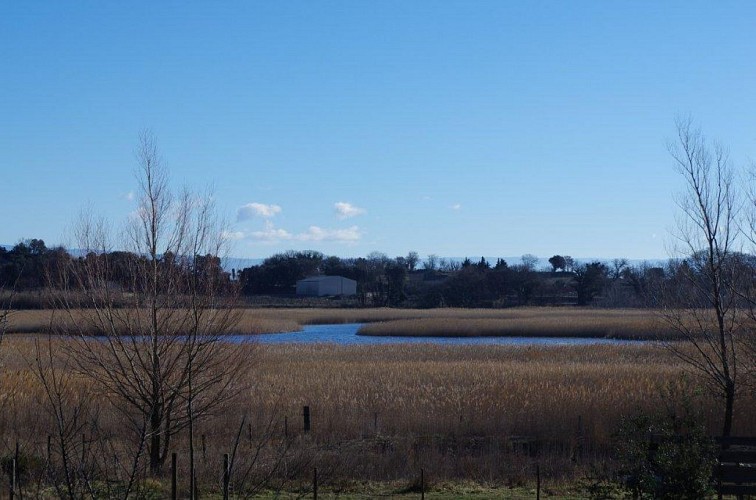 L'Etang Salé de Courthézon