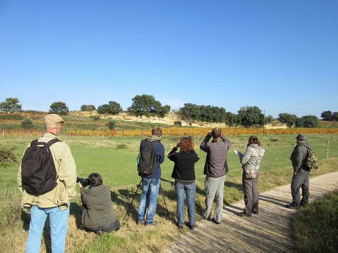 L'Etang Salé de Courthézon