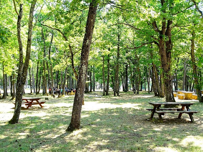 V03 - "Les 3 villages : Sault, Aurel et St Trinit"