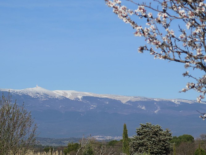V04 Wandelroute in Pernes les Fontaines - 14 km - n°3