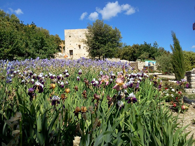 Sendero peatonal: La meseta de Courens
