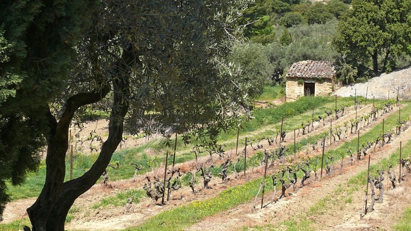 Wandelroute - Le Plateau des Courens