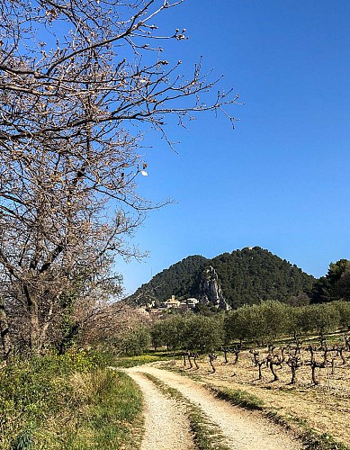 V11 - Le Monastère de Prébayon - Sablet