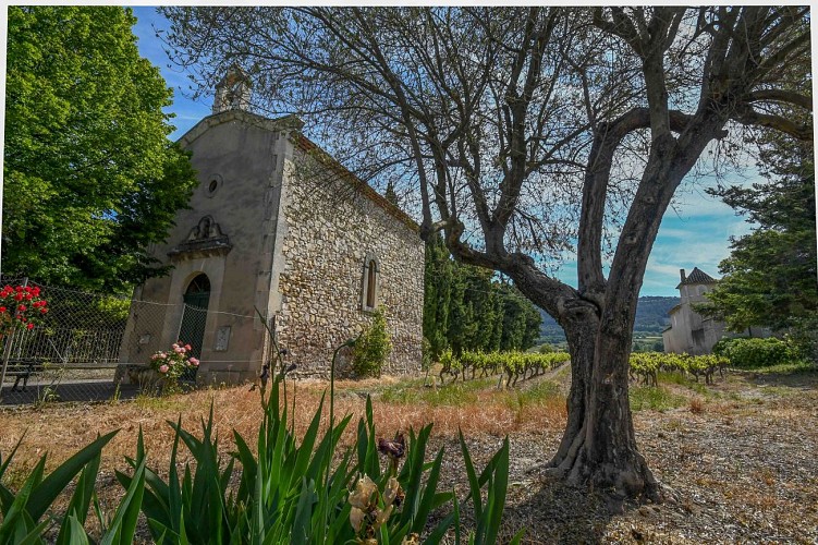 V11 - Le Monastère de Prébayon - Sablet