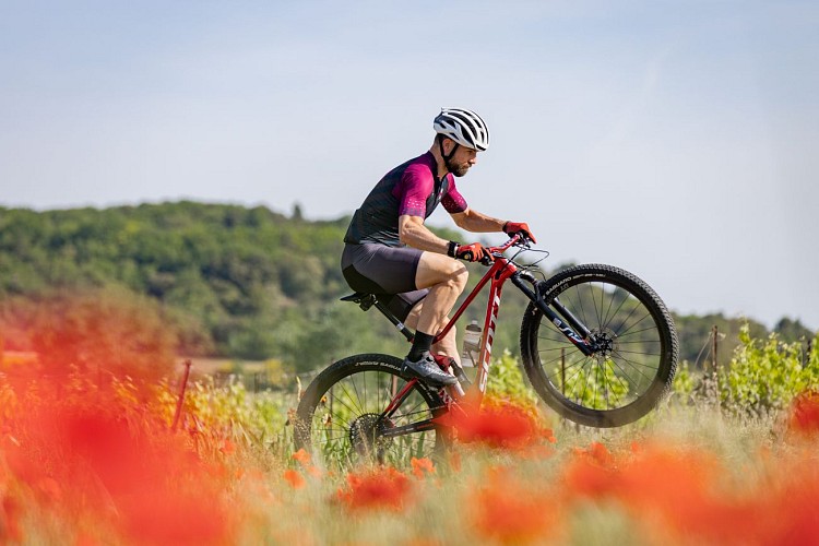 Base VTT Drôme Sud Provence_Saint-Paul-Trois-Châteaux