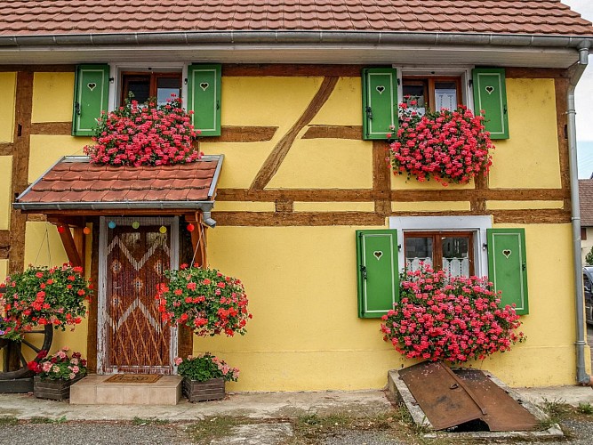 Maisons à colombages de Werentzhouse