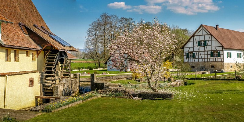 Moulin de Werentzhouse